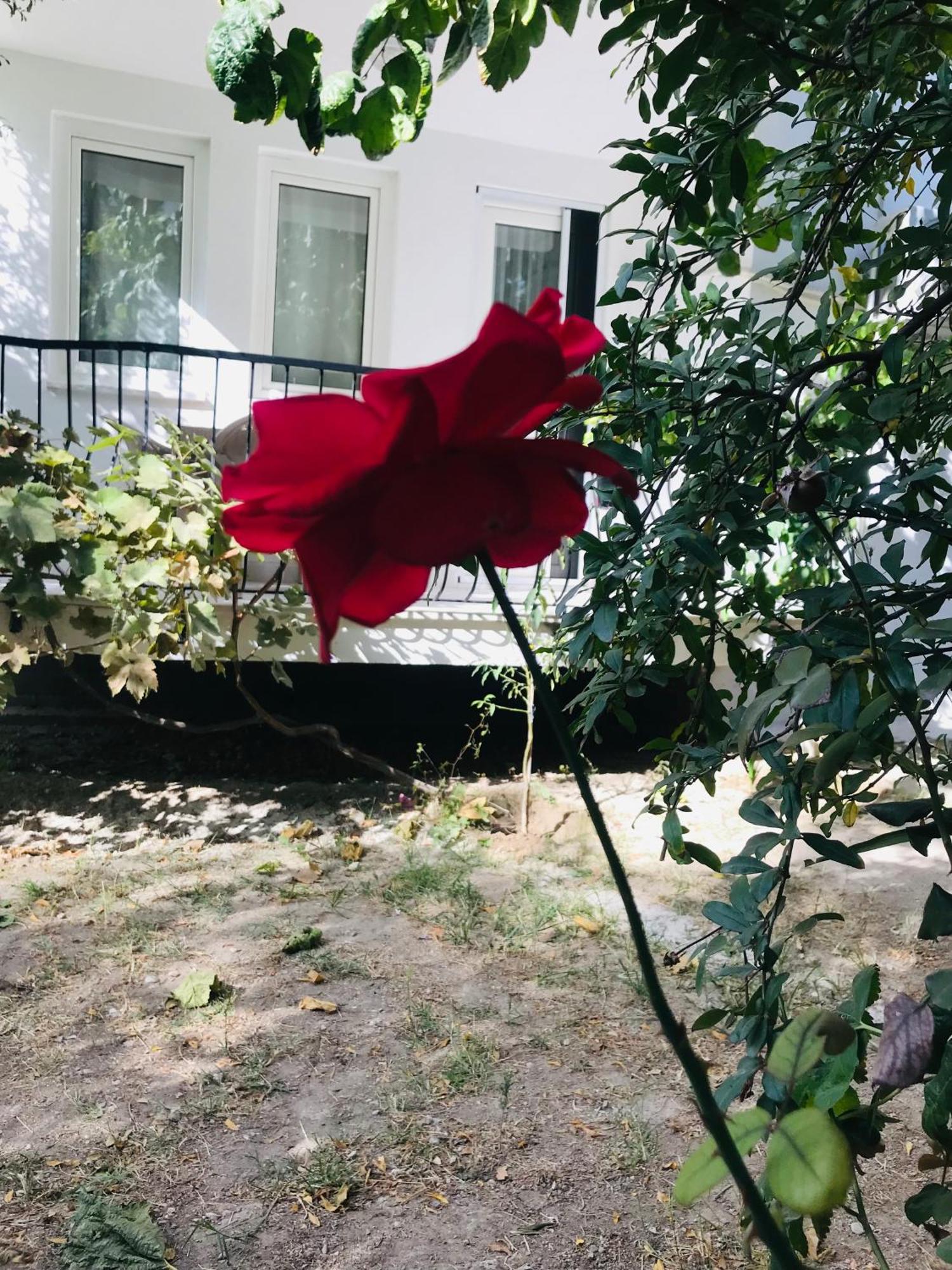 White House Tam Donanimli Bahceli Bueyuek Ev Pamukkale Exterior foto